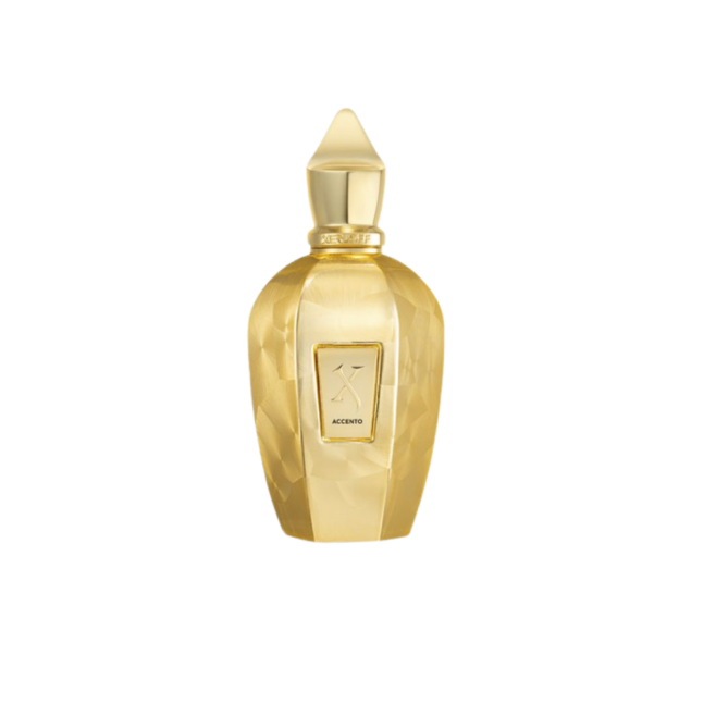 Perfume Accento Overdose - Xerjoff 100 ml - S/C